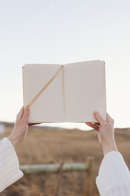 The Crucifixion Notebook