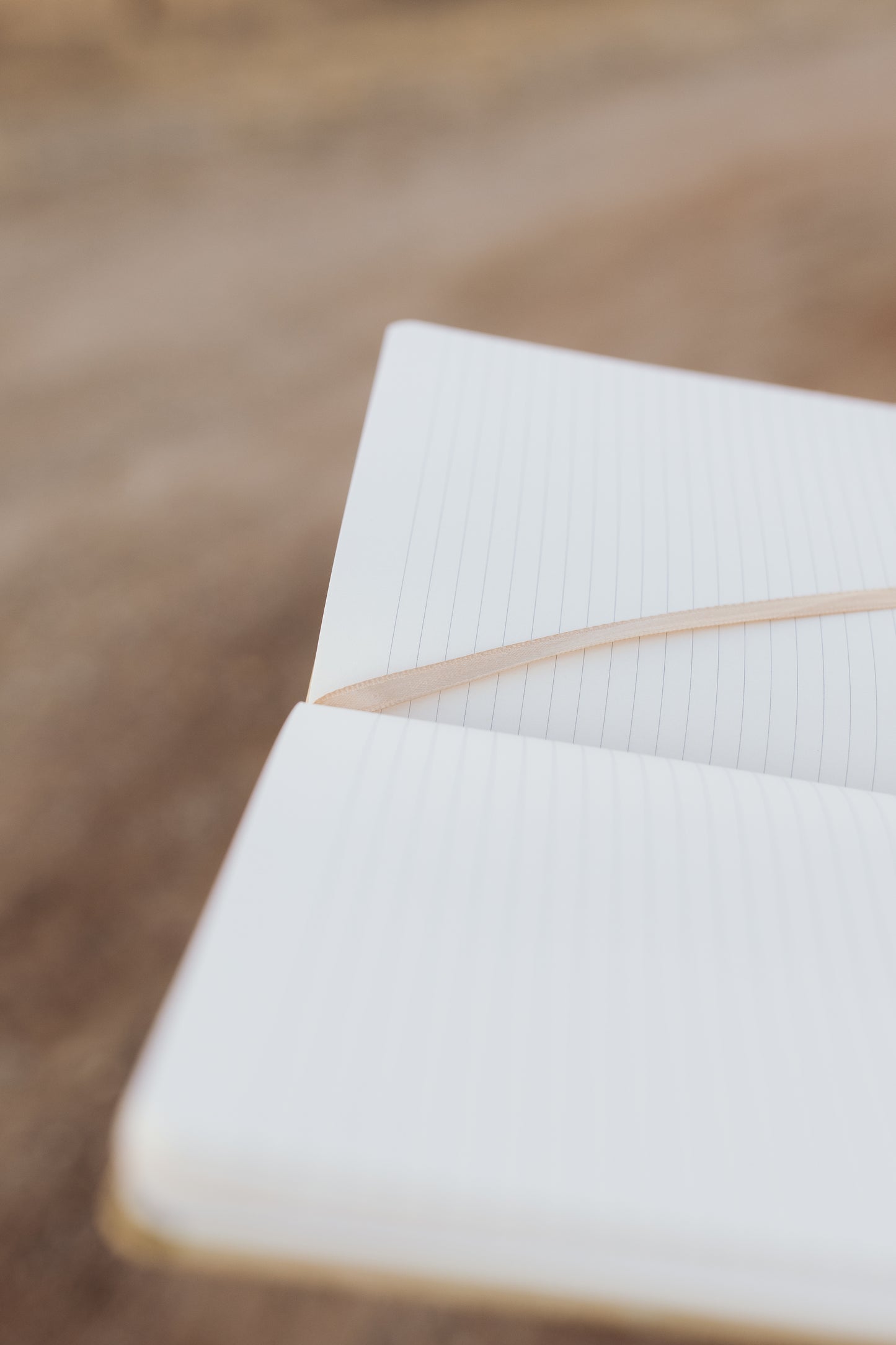 The Crucifixion Notebook