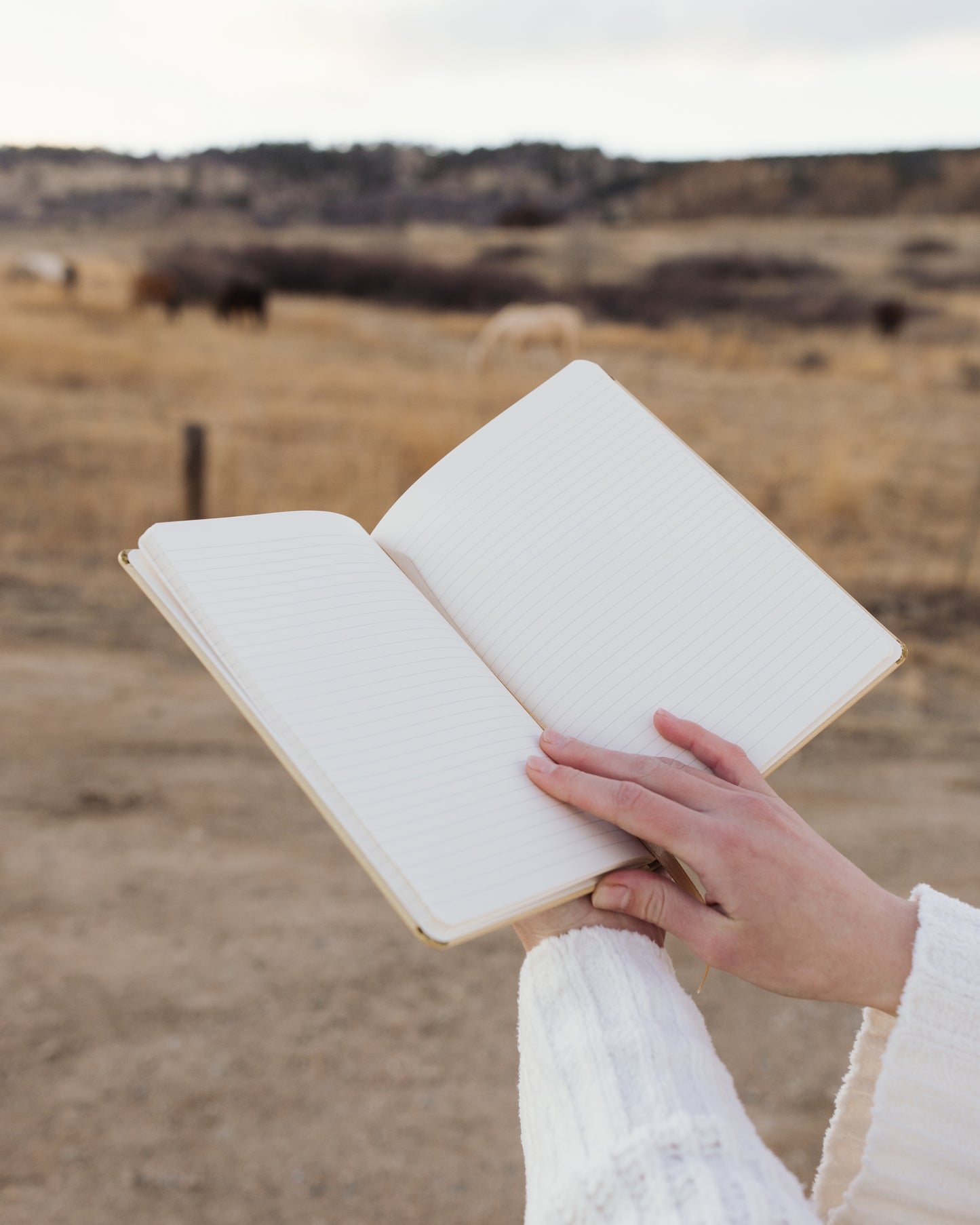 The Crucifixion Notebook