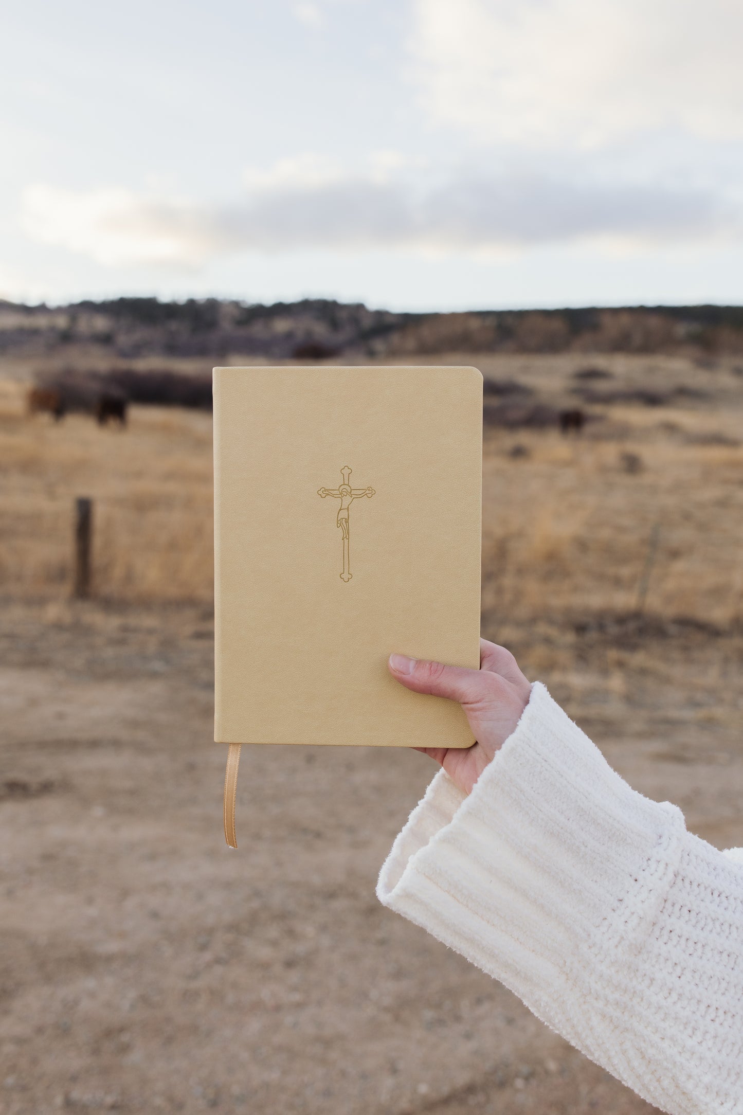 The Crucifixion Notebook