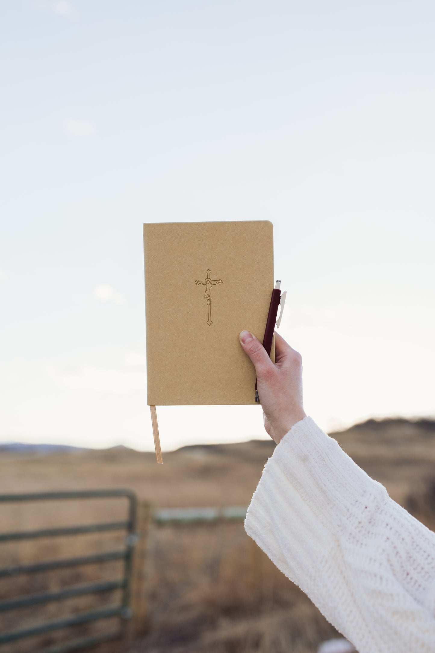 The Crucifixion Notebook