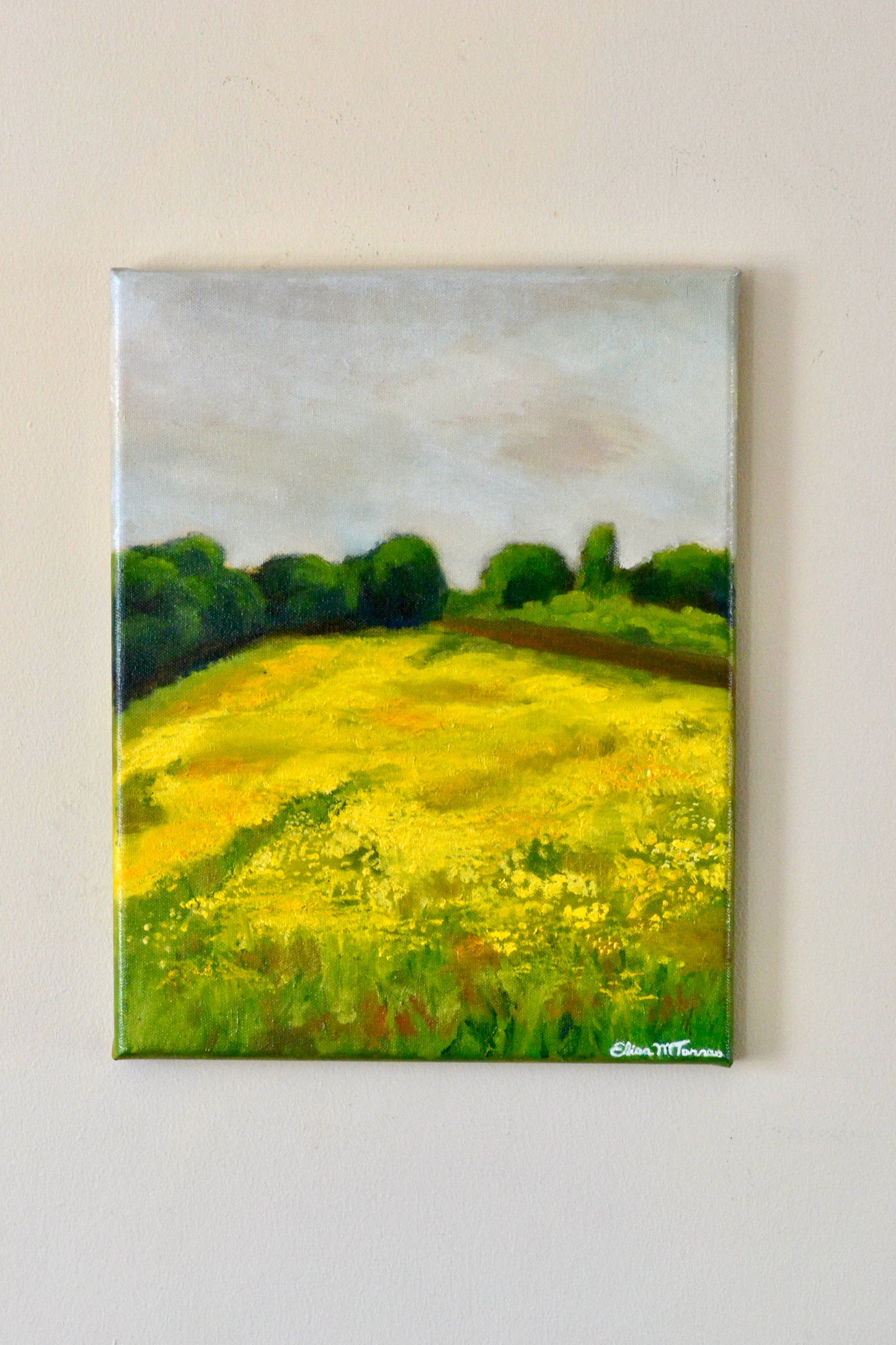 Flower Field