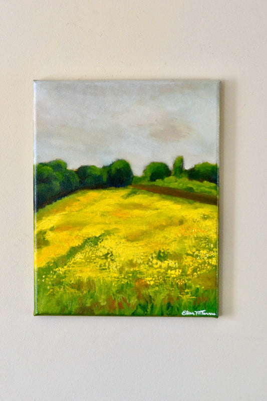 Flower Field