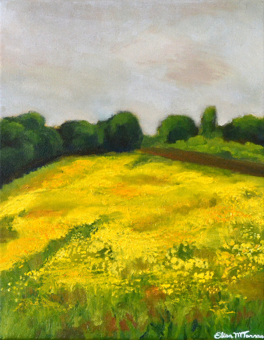 Flower Field